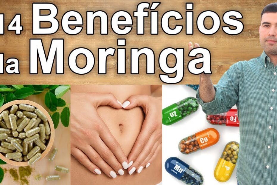 14 Benefícios e Propriedades da Moringa Para Sua Saúde - Anemia, Artrite, Diabetes, Rins e Mais