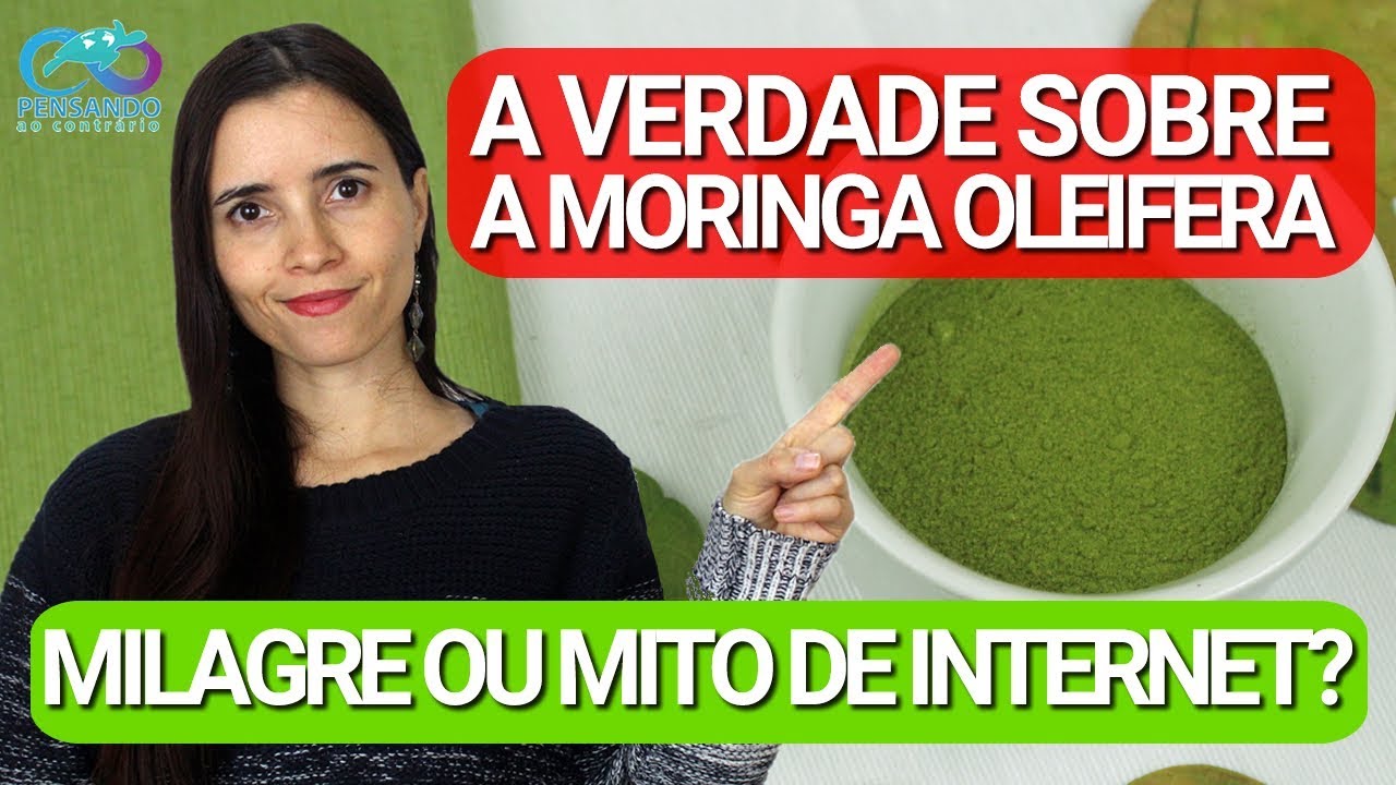 A VERDADE SOBRE A MORINGA OLEIFERA | ERVA DO BEM OU MITO DE INTERNET?