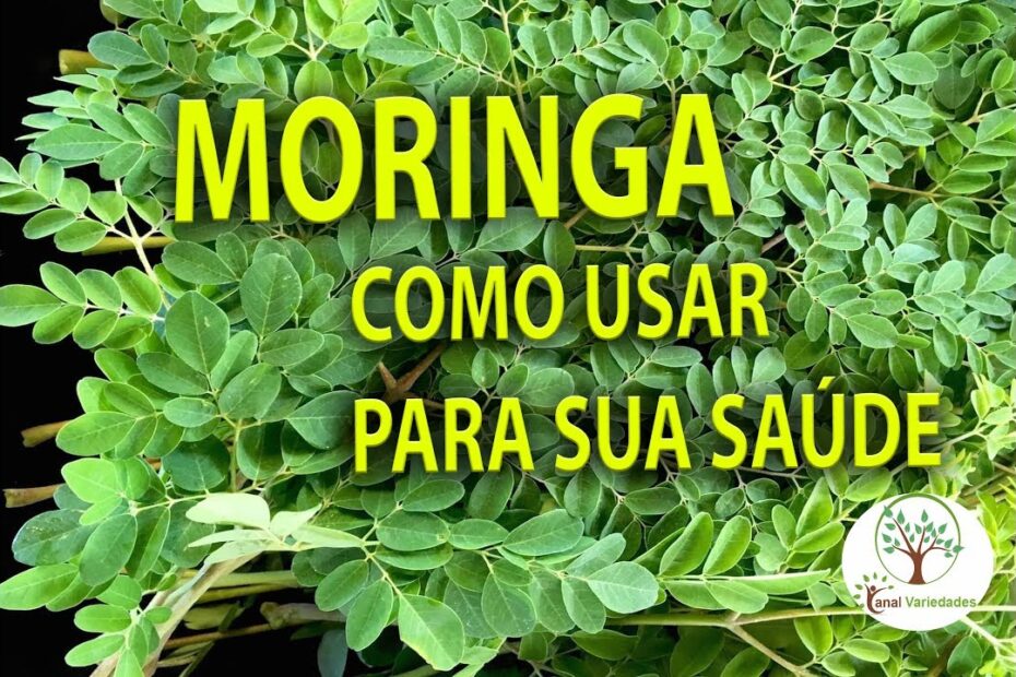 Moringa em sua Casa, Aprenda como usar para sua Saúde