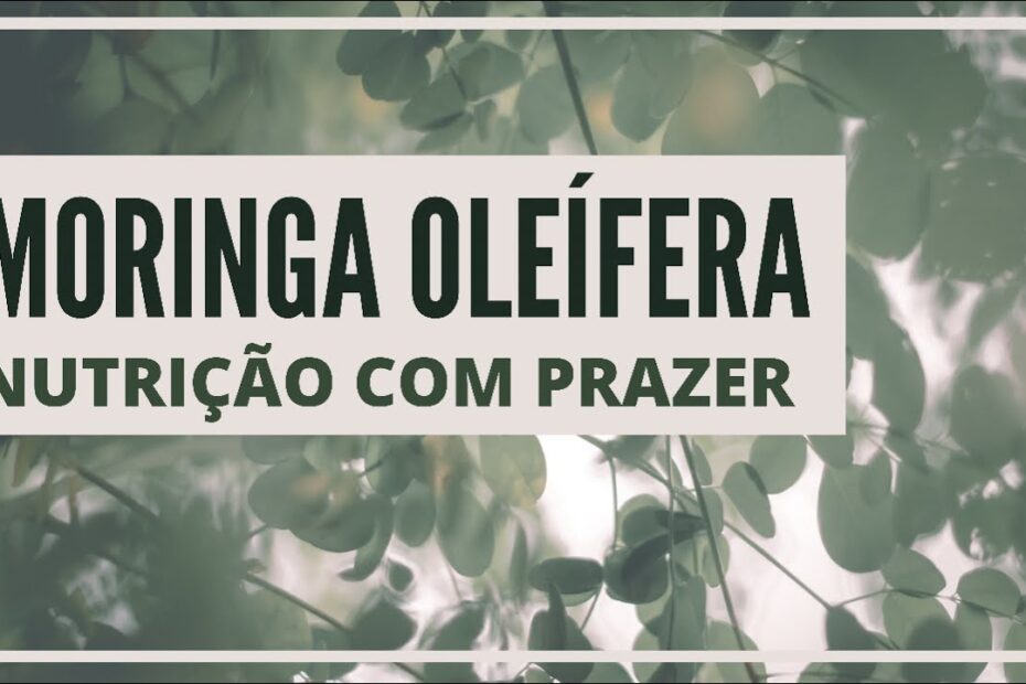 TRÊS RECEITAS DELICIOSAS COM FOLHAS DE MORINGA A PROTEINA VEGETAL