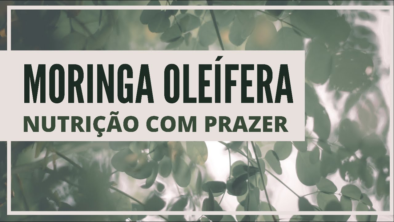 TRÊS RECEITAS DELICIOSAS COM FOLHAS DE MORINGA A PROTEINA VEGETAL