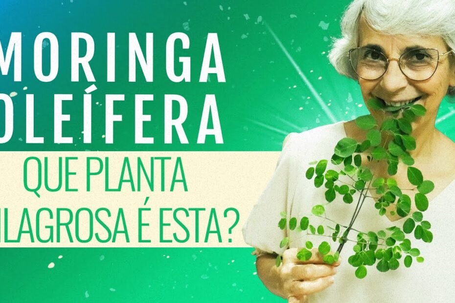 Planta milagrosa? Combate: diabetes, colesterol, inflamações, envelhecimento...