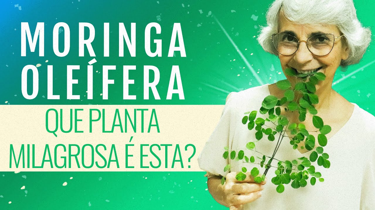 Planta milagrosa? Combate: diabetes, colesterol, inflamações, envelhecimento...