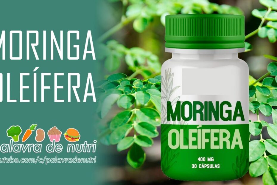 MORINGA OLEÍFERA - QUAIS SEUS BENEFÍCIOS?