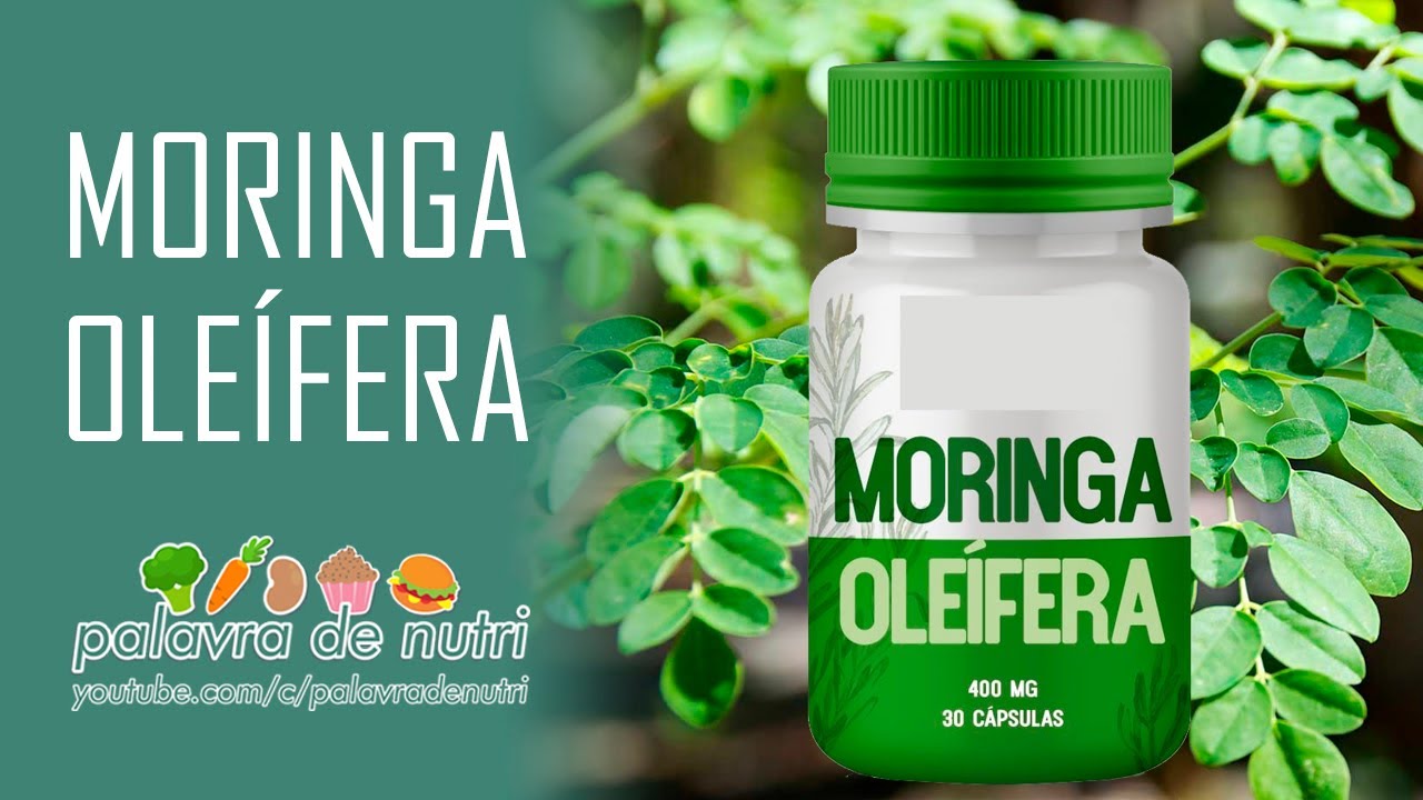 MORINGA OLEÍFERA - QUAIS SEUS BENEFÍCIOS?