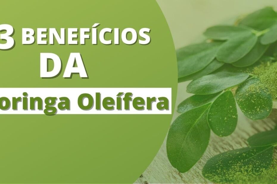 13 Benefícios da Moringa Oleífera