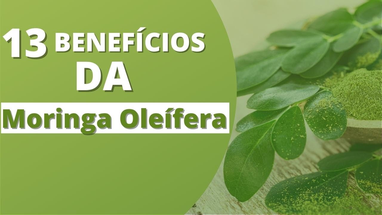 13 Benefícios da Moringa Oleífera