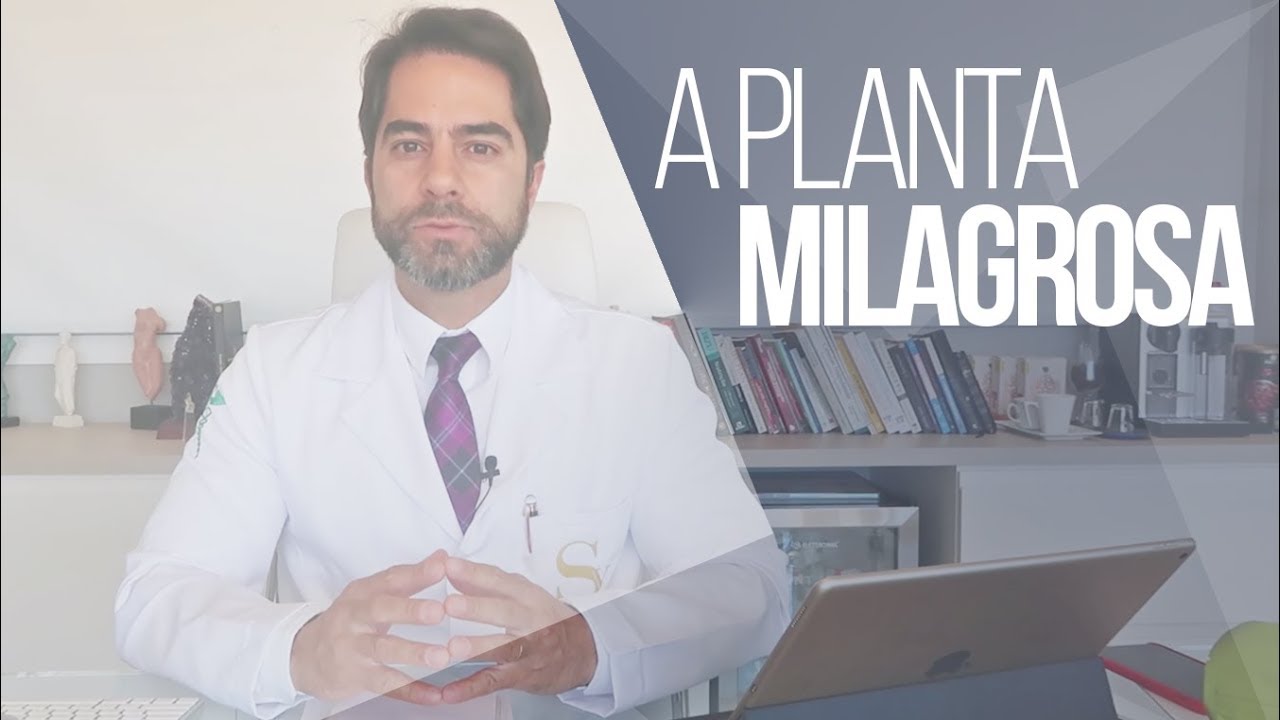 MORINGA OLEÍFERA | INCONTÁVEIS BENEFÍCIOS