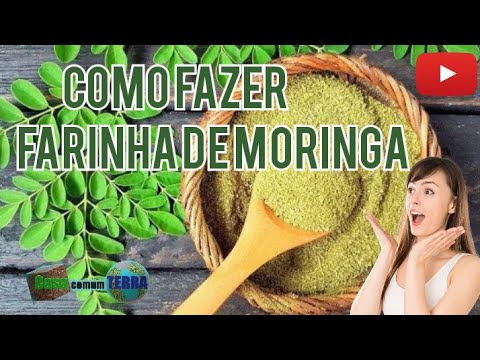 Como fazer farinha de moringa - O melhor suplemento alimentar natural