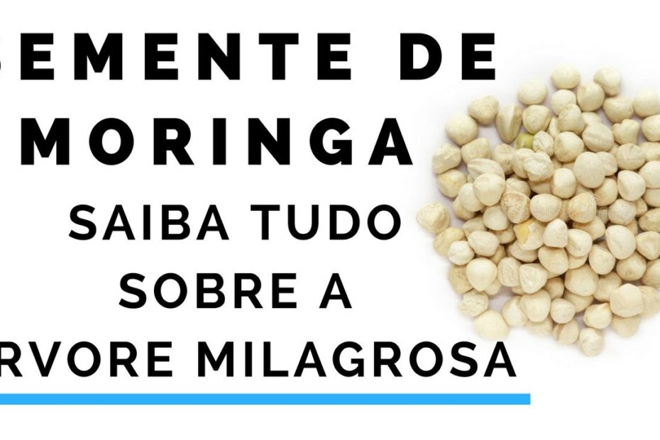 Semente de Moringa - Cápsulas de Moringa Oleifera