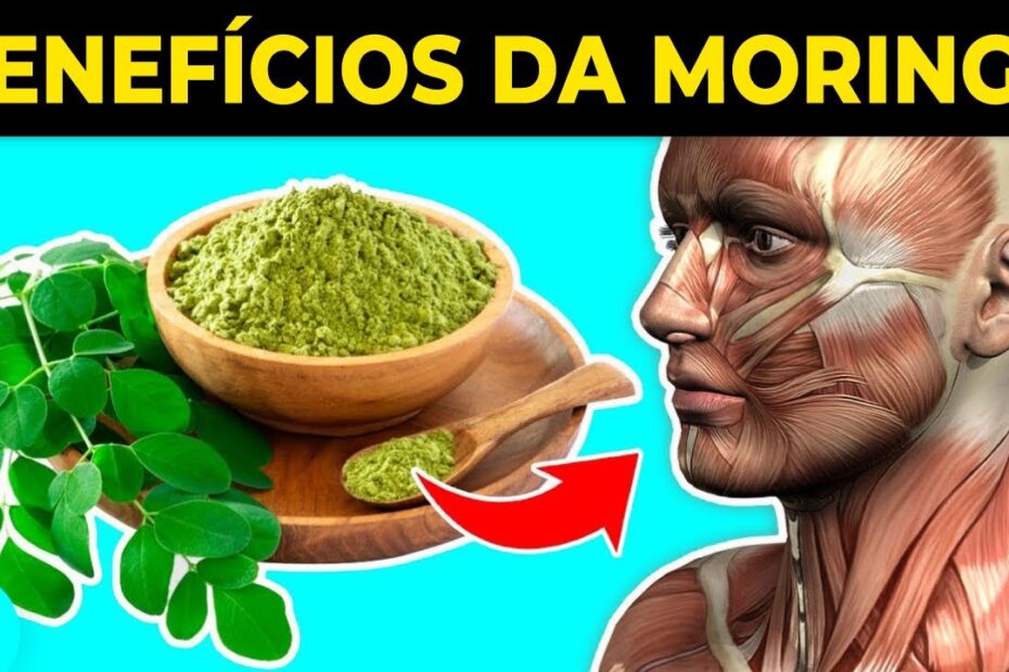 10 BENEFÍCIOS da MORINGA que você NUNCA ouviu falar!