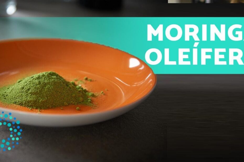 BENEFÍCIOS da MORINGA OLEÍFERA 🌿Para que SERVE e como PREPARAR