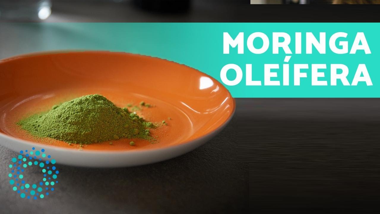 BENEFÍCIOS da MORINGA OLEÍFERA 🌿Para que SERVE e como PREPARAR