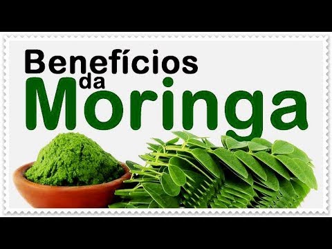 🔴CONHEÇA OS BENEFÍCIOS DA MORINGA PARA A SAÚDE | LUMA VERGARA