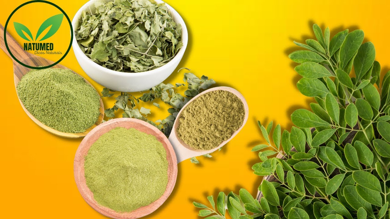 (PASSO A PASSO) Como fazer um chá de Moringa Oleífera.