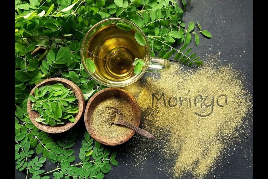 COMO FAZER A MILAGROSA FARINHA DE MORINGA OLEÍFERA