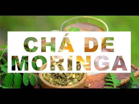 Os 10 Benefícios do Chá de Moringa Para Saúde | Dicas de Saúde