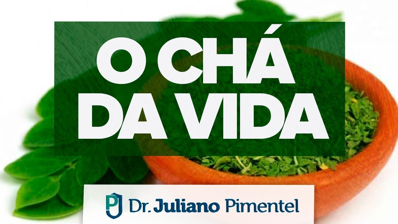 RECEITA DE CHÁ VERDE DE MORINGA OLEÍFERA