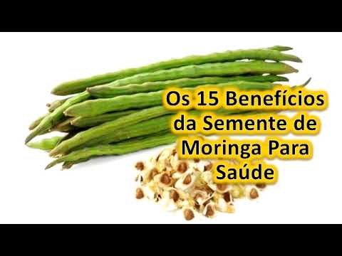 Conheça 15 Benefícios da Semente de Moringa Para Saúde