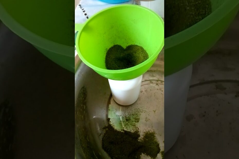 PÓ MÁGICO DE MORINGA OLEIFERA 【CONFIRA】