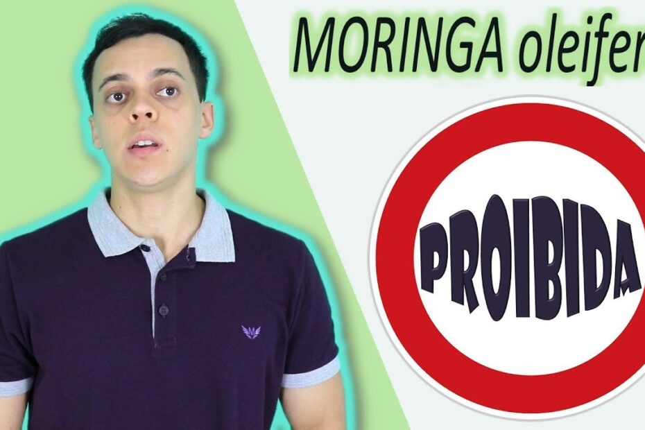 ANVISA Proíbe Venda de Moringa oleifera (em alimentos) no Brasil [PQ SERÁ]