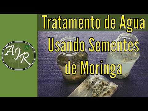 Tratamento de Água com Sementes de Moringa 【CONFIRA】