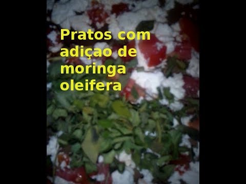 Moringa oleifera em pratos. (Receitas )